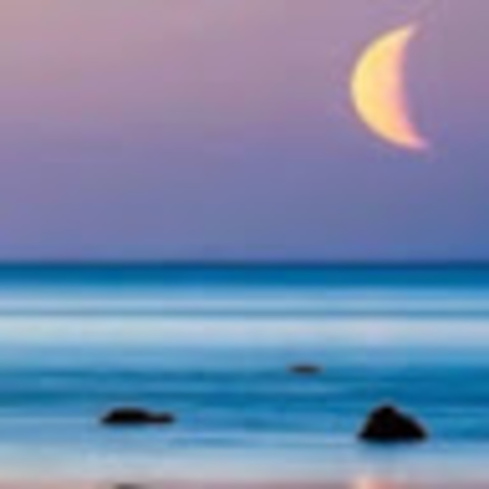 Meet your Posher, Patty